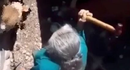 VIDEO | Abuelita hiere de gravedad a su perro a martillazos