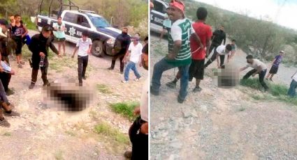 Profepa presenta denuncia penal por la asfixia a un osito negro en Coahuila