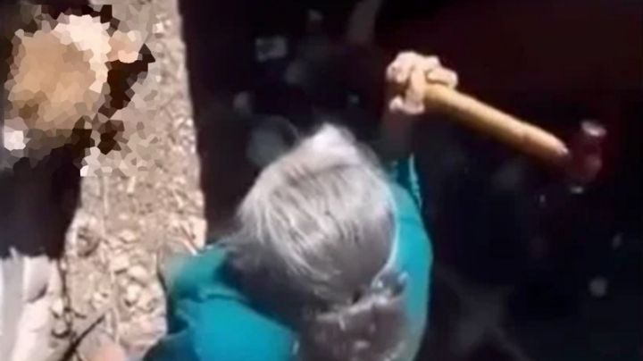 VIDEO | Abuelita hiere de gravedad a su perro a martillazos
