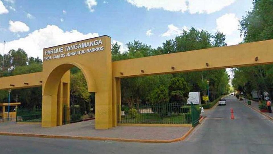 Hay varias muertes extrañas en el lugar.