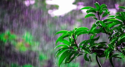 El agua de lluvia ya no es potable en ningún lugar del planeta