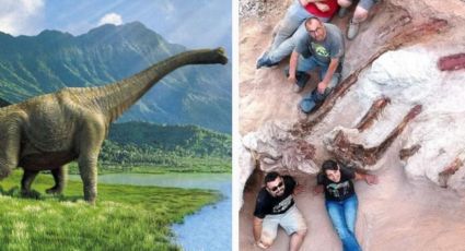 Descubren enorme fósil de dinosaurio; es el más grande jamás visto en en el mundo