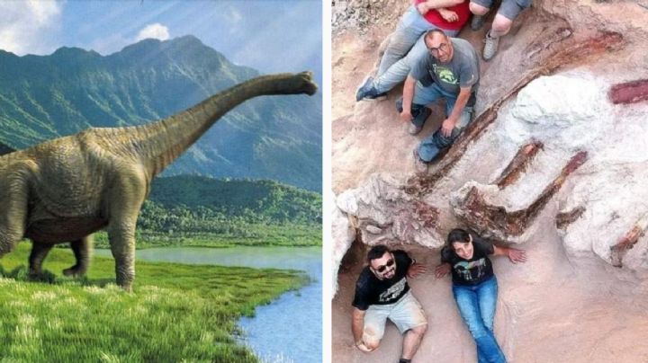 Descubren enorme fósil de dinosaurio; es el más grande jamás visto en en el mundo