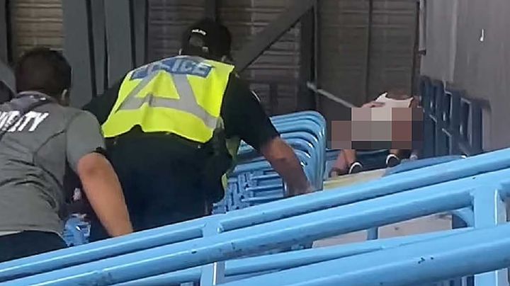 Fanáticos tienen relaciones en el estadio de Azulejos; los capta la 'kiss-cam' | VIDEO