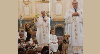 Sacerdote rescata perros de la calle y los ofrece en adopción durante sus misas