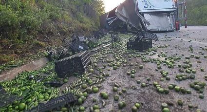 Vuelca tráiler con chile y tomatillo en Tamaulipas; rapiñeros se llevan la carga en minutos