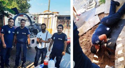 Bomberos rescatan a cachorro de las garras de la muerte