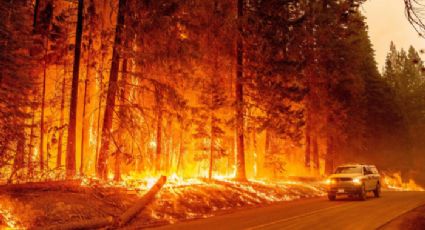 Voraz incendio en California calcina 17 mil hectáreas de bosque