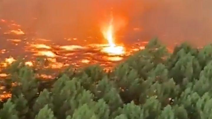 Captan tornado de fuego durante incendio forestal en Francia | VIDEO