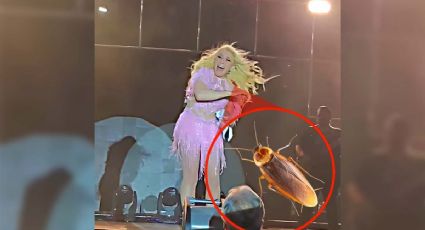 Yuri es 'atacada' por cucaracha en concierto en Nuevo Laredo | VIDEO