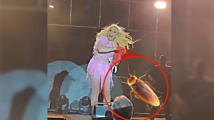 Yuri es 'atacada' por cucaracha en concierto en Nuevo Laredo | VIDEO