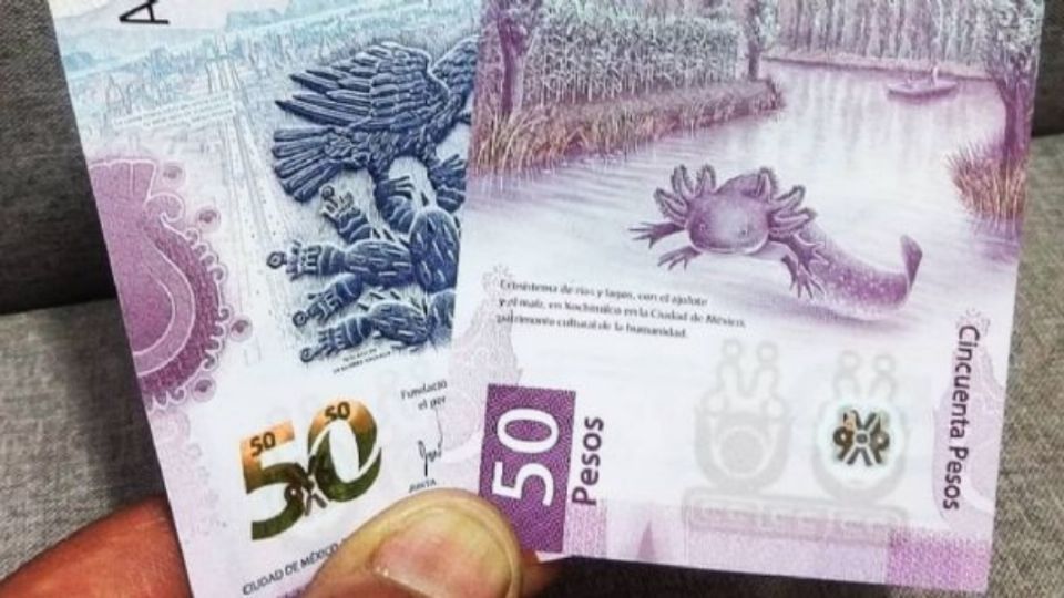 Se vende hasta en 3 millones de pesos en internet