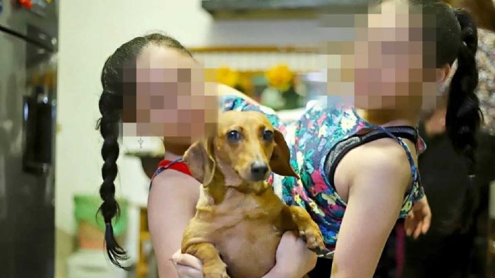 Siamesas de Monterrey: les daban 3 meses de vida y ya tienen 13 años