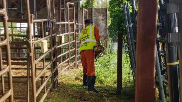 Internos con delitos leves apoyan programa del Condado de Webb