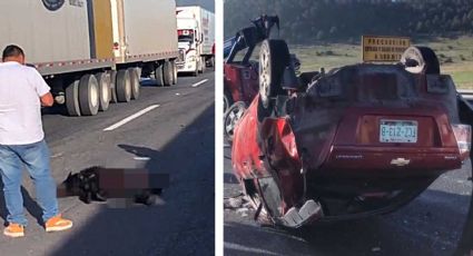 Oso provoca tragedia en la Carretera Saltillo-Matehuala