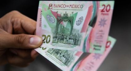 Increíble pero cierto: ofrecen hasta 10 millones de pesos por este billete de 20