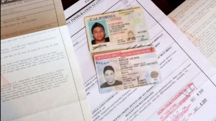 Piden visas de trabajo para mexicanos a Ken Salazar; irían a limpiar daños tras huracán Ian