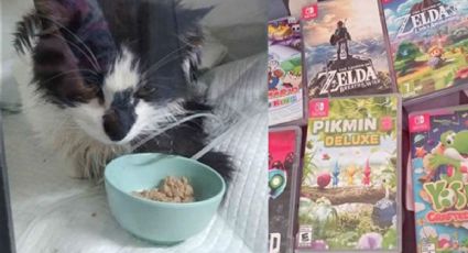 Gamer vende sus videojuegos para salvar la vida de su gatita