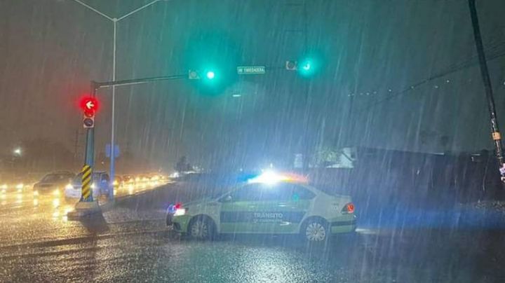 Tormentas en Nuevo León dejaron arroyos desbordados y hasta un oso deambulando | VIDEO