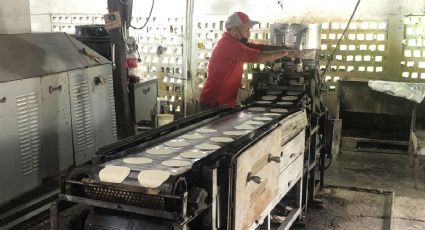 Volverá a subir precio de la tortilla, advierten productores de Nuevo Laredo