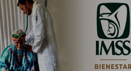 IMSS-Bienestar cuenta con 6 mil 664 parteras, 754 médicos tradicionales y 15 mil 775 voluntarios rurales