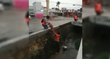 Trabajadores rescatan a perrito de un canal pluvial en Tampico | VIDEO