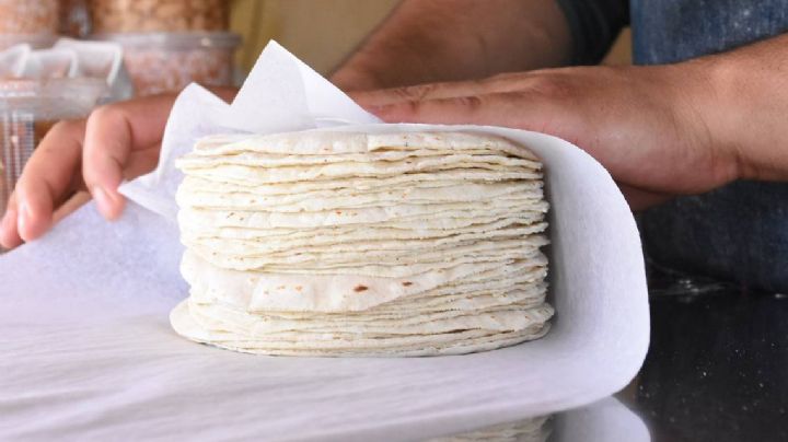 ¡Aumenta la tortilla! Este será su precio por kilo en estos estados