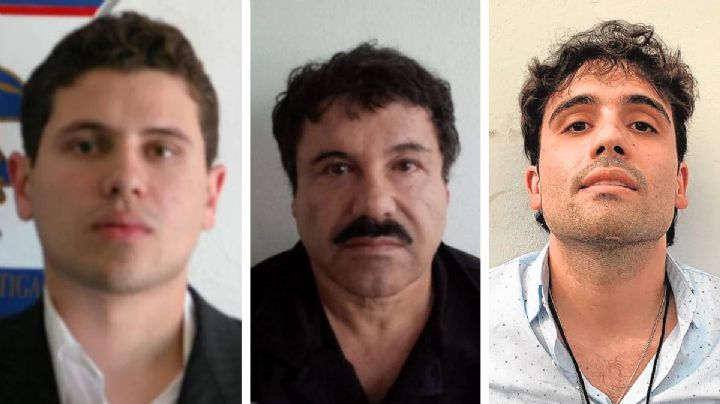 Esta fue la máxima enseñanza de 'El Chapo' Guzmán a 'Los Chapitos'