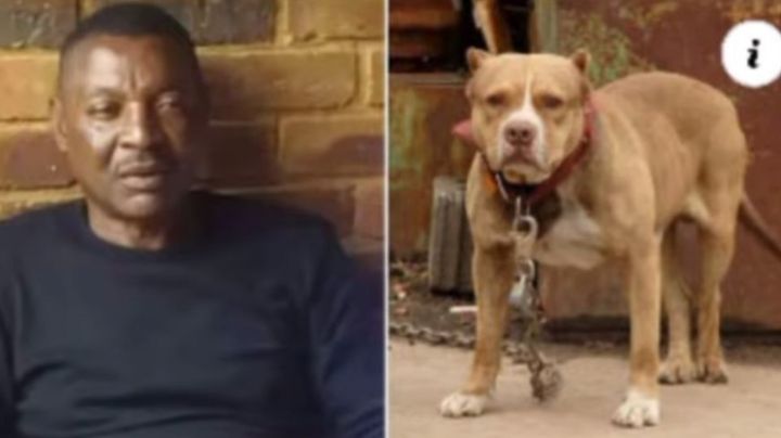 ¿El mejor amigo del hombre?; perros matan a exfutbolista en su casa y nadie lo ayudó