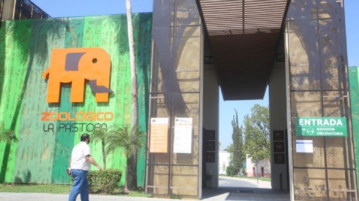 Se 'despiden' de 25 animales del Parque La Pastora; los mandan a un rancho