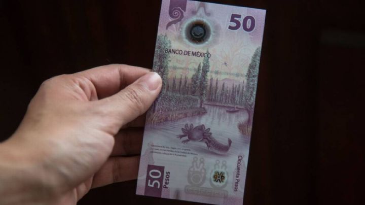 Dan hasta 300 mil pesos por este billete de 50 | FOTO