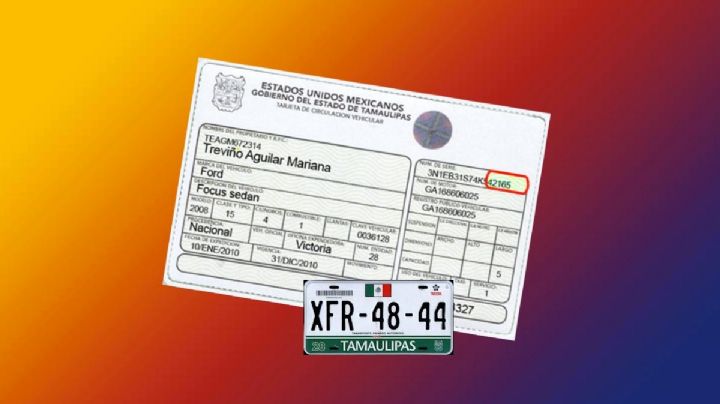 Pago de tenencia de Tamaulipas en línea: consulta cuánto debes