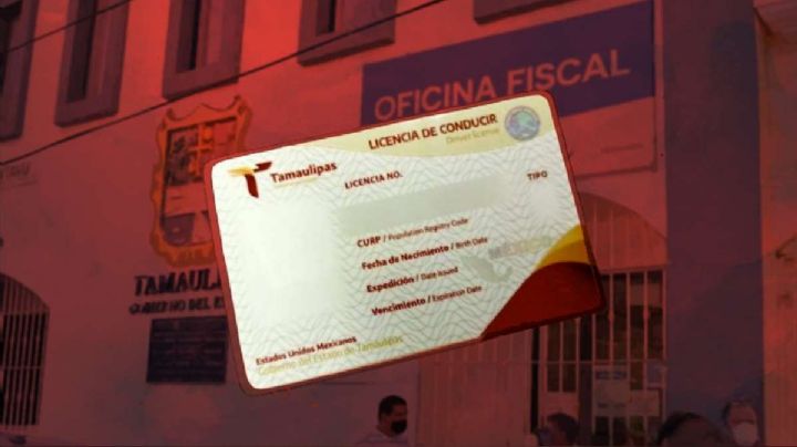 Extienden límite para tramitar licencia de conducir con 50% de descuento; fechas y horario