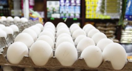 ¿Cuáles son las peores marcas de huevo?; esto dice Profeco