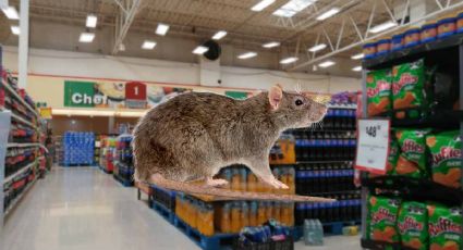 Soriana de Nuevo Laredo: denuncian plaga de ratas en tienda | VIDEO