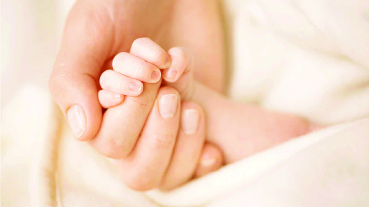 Crece la población en Laredo; ya son casi 270 mil habitantes