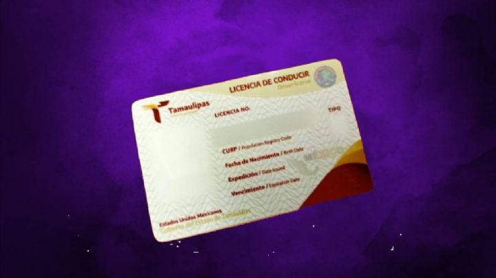 Licencia Tamaulipas: mañana finaliza el 50% de descuento