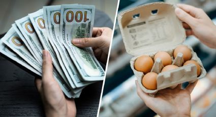 Precio del huevo sigue subiendo en Estados Unidos; ¿cuándo bajará su costo?