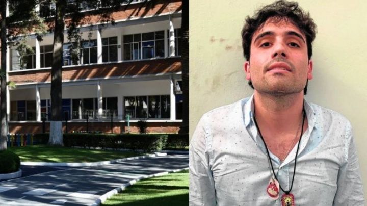 Por una grosería Ovidio Guzmán dejó la escuela... ¿que le hicieron?