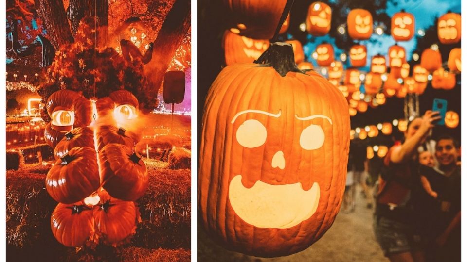 Pumpkin Nights 2023, un festival para toda la familia en Texas.