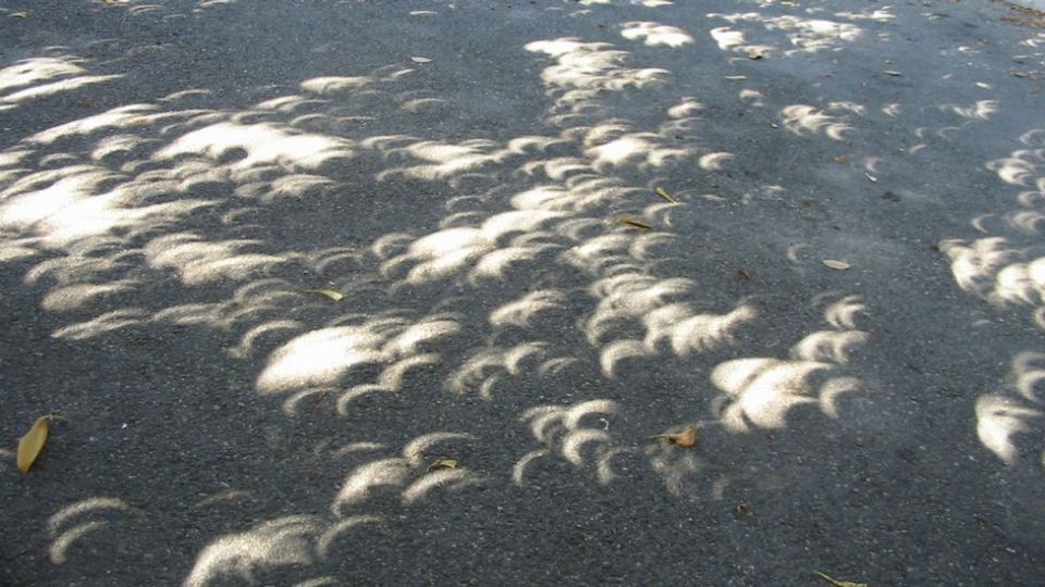 Testigos en las calles indicaron la peculiar forma de las hojas durante el eclipse, sorprendiéndolos por la belleza de los reflejos en forma de Luna