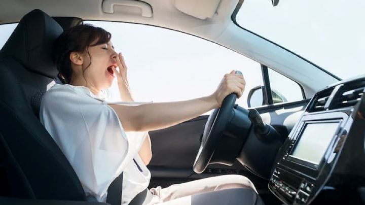 Dormir sin sentir al ir manejando, un peligro mortal; sigue estos 5 consejos prácticos para evitarlo