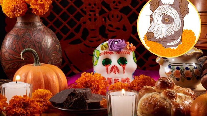 Día de Muertos: ¿cuándo se prepara el altar para recibir a las mascotas que ya partieron?