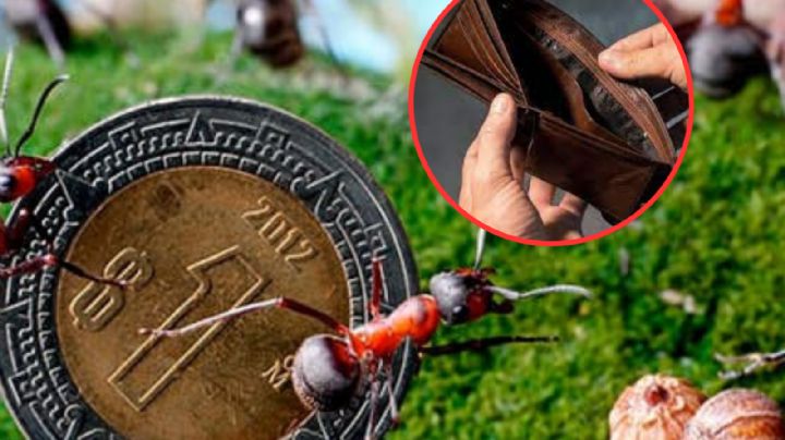 Golpe al bolsillo; gastos hormiga que dañan tu economía sin que te des cuenta