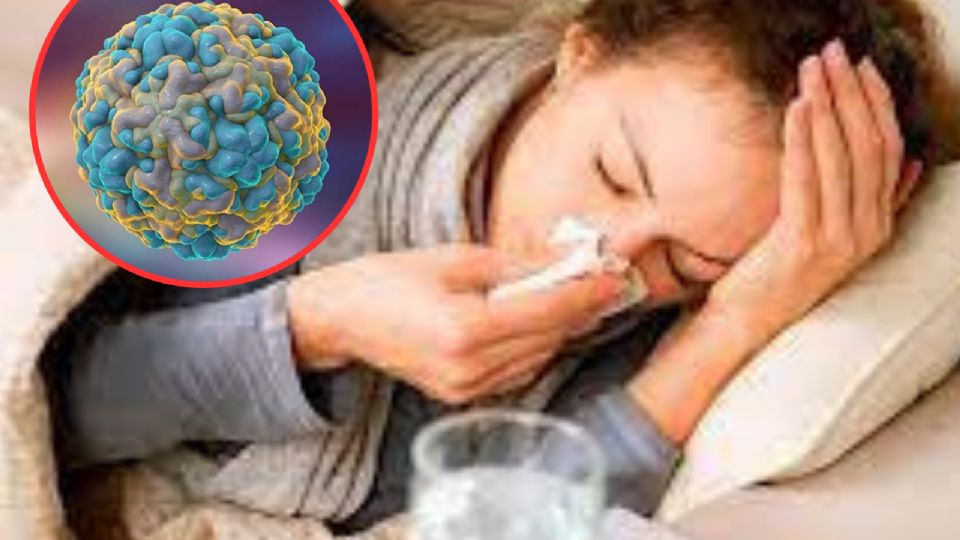 El resfriado puede causar muchas molestias en tu cuerpo