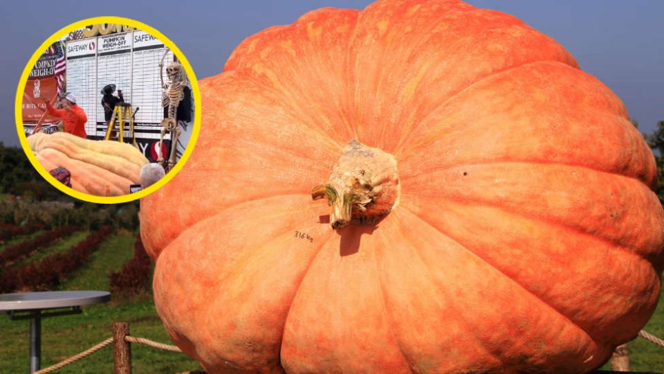 El agricultor volvió a romper un récord guinness, superando al impuesto en 2021