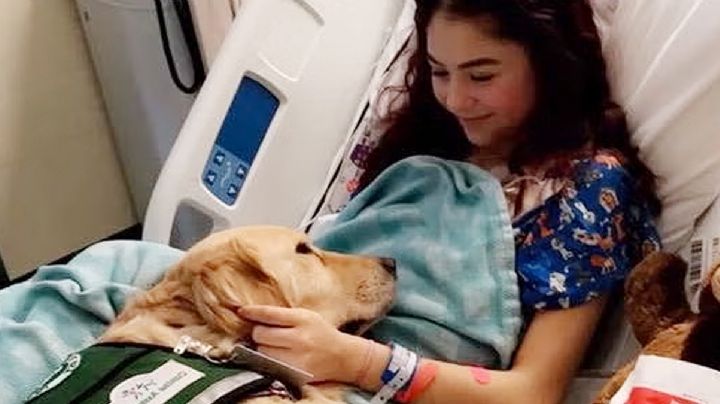 Jovencita de 17 años vence dos veces al cáncer, pero muere en accidente automovilístico