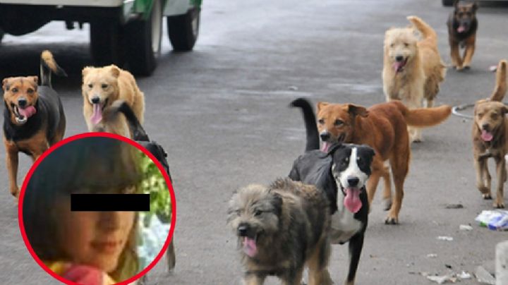 Jauría de perros atacan y matan a una joven; estaba hablando por teléfono con su madre