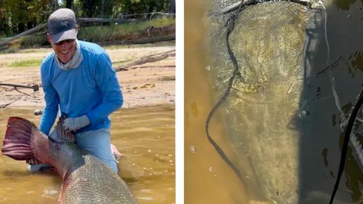 Capturan gigantesco catán en Texas y pescadores rompen 4 récords mundiales
