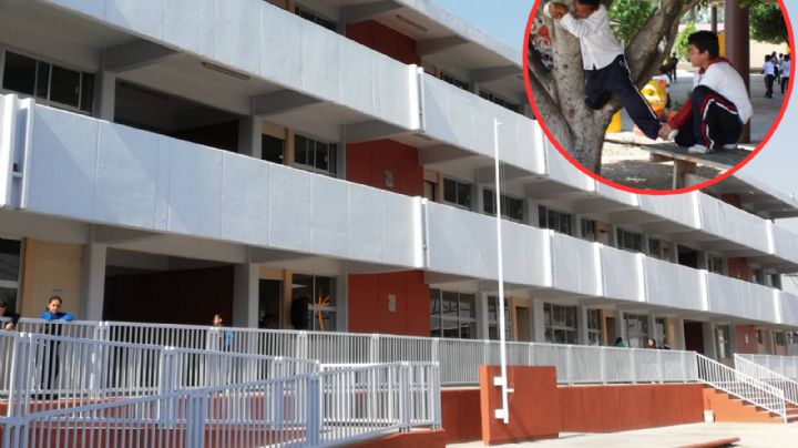 Cuidado: Estos son los 5 accidentes más frecuentes en la escuela y como evitarlos